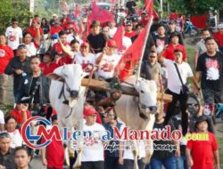 Roda Sapi, Suara Rakyat: Dukungan Gemuruh Untuk FDW-TK di Motoling Barat